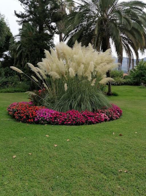 Imperial Palace Bord De Mer Menton Exterior photo